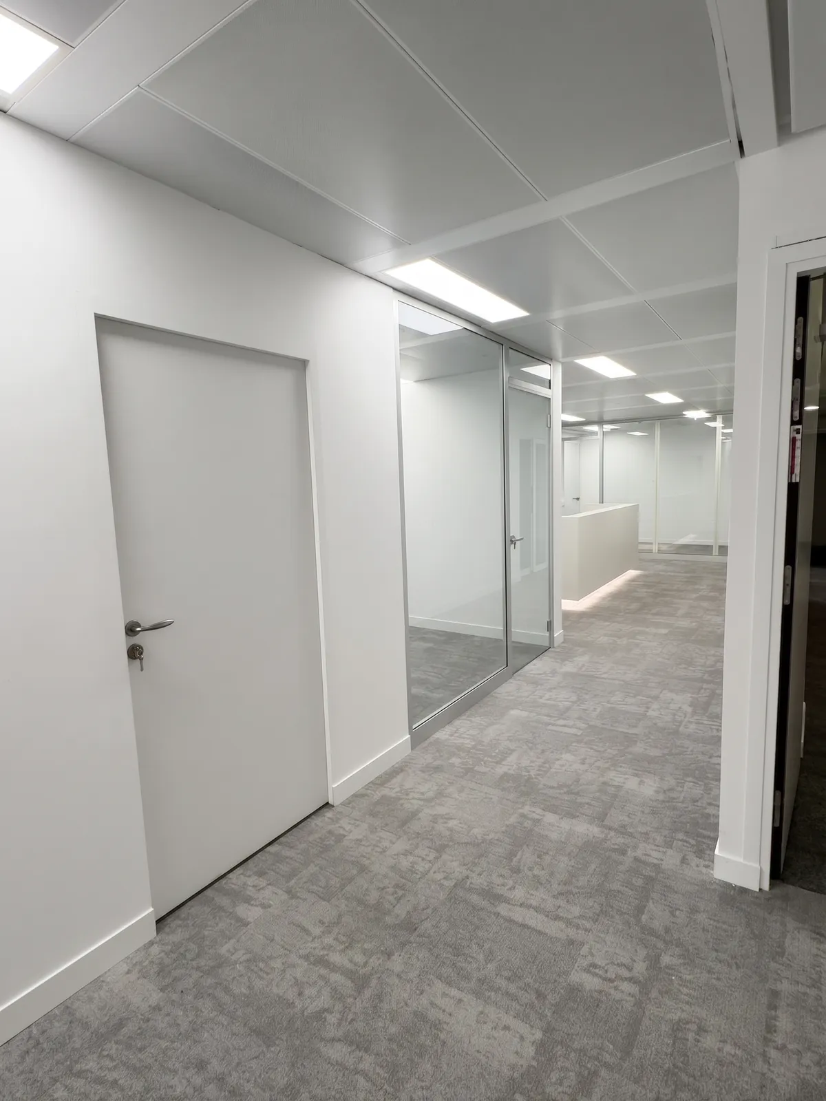 Complete office renovation — immagine 8